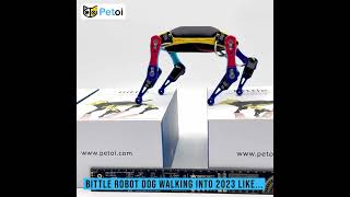 Unleash Joy in 2023 with Petoi Bittle Open Source Robot Dog amp Programmable STEM Kit [upl. by Hailee]