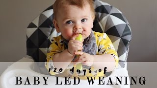 120 days of Baby Led Weaning [upl. by Alyl]