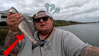 slaying inshore speckled trout in south carolina Jadeeladie [upl. by Aicnarf]