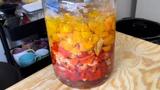 Fermented Louisiana Style Hot Sauce Recipe [upl. by Brody]