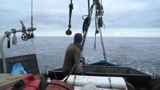 Albacore tuna fishing [upl. by Aufa]