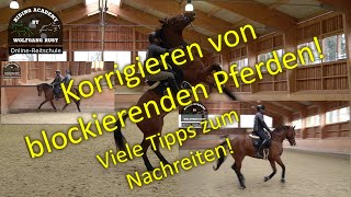 F101 Pferd blockiert und steigt Lösungen für Reiter auf stumpfen verrittenen Pferden Reiten Lernen [upl. by Eiromem957]