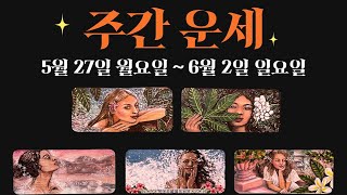 타로5월 마지막 주간 운세직장금전시험관계애정자기 관리 [upl. by Anaid]