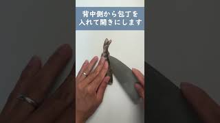 釣ったアマゴがフライになるまで魚の捌き方 渓流釣り [upl. by Nylanej]