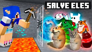 Se você achar o HAMSTER você GANHA 1000 REAIS FIND CHOMIKS MINECRAFT [upl. by Lesirg]