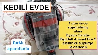 Kedili Evde DYSON Cinetic Big Ball Animal Pro 2 Süpürgeyi Denedik [upl. by Bartlet]