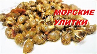 МОРСКИЕ УЛИТКИ рецептMaruzzielli Lumache di MareCook Snails [upl. by Kanal]