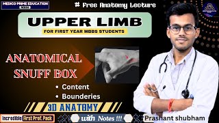 Anatomical Snuff Box  Boundaries amp Content of Anatomical Snuff Box  Upper Limb Anatomy mbbs [upl. by Digirb]