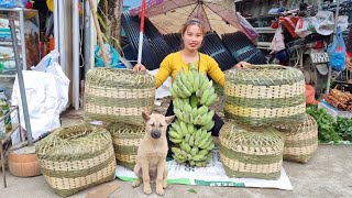 FULL VIDEO harvest squash bananas bamboo shoots green vegetables bring to the market [upl. by Highams725]