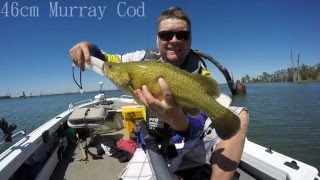 Mulwala Trolling And Casting Lures For Murray Cod [upl. by Hinkel941]