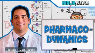 Pharmacodynamics [upl. by Guerra]