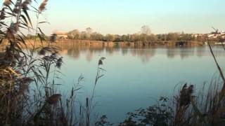 PONTEDERA  Autunno ai Laghi del Braccini  di Sergio Colombini [upl. by Devinne]