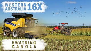 Swathing Canola  Western Australia 16x  Ep11  FS19 [upl. by Etram]