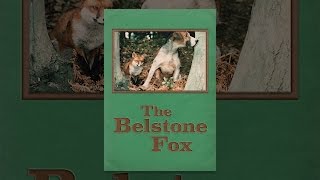 The Belstone Fox [upl. by Zebulen295]