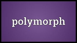 Polymorph Meaning [upl. by Novart]