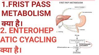 FRIST PASS METABOLISM क्या है।ENTEROHEPATIC CYCLING क्या है।PHARMACOKINETICSPHARMACOLOGYVIDEOS [upl. by Eirrotal]