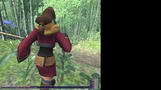 FFXI Rhapsodies of Vanadiel Mission 321 [upl. by Elinore]