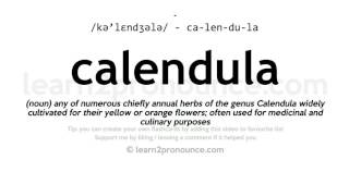 Pronunciation of Calendula  Definition of Calendula [upl. by Ahsiek]