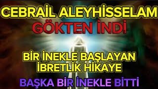 CEBRAİL ALEYHİSSELAM GÖKTEN İNDİ [upl. by Yenaiv536]