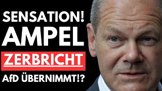 🚨EILMELDUNG SCHOLZ WIRD ERTAPPT – AfD DECKT WAHRHEIT AUF🚨 [upl. by Greenebaum]