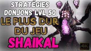 PVELVL 50  BOSS SHAIKAL dans le donjon étendue maudite THRONE AND LIBERTY [upl. by Jasik]