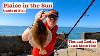 Plaice in the Sun Brighton Marina Tips and Tactics Loads of Fish [upl. by Marybelle]