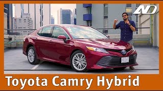 Toyota Camry Híbrido ⭐️  Potente equipado y gasta poco [upl. by Nidnerb]