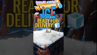 Sagar ice plant Ice bars seafood crushed ice sagaricecompany [upl. by Enomas802]