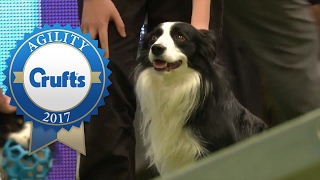 Agility  Large Team Final Part 2  Crufts 2017 [upl. by Duile13]