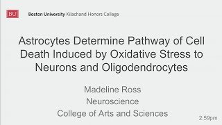 Madeline Ross Astrocytes Determine Pathway of Cell Death Induced by Oxidative Stress [upl. by Eslud278]