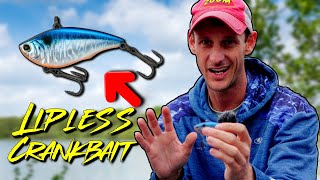 Lipless Crankbaits Are Underrated [upl. by Susejedairam150]