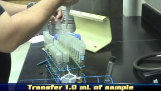 Multiple Tube Fermentation Technique for the Enumeration of Total Coliforms [upl. by Alocin]