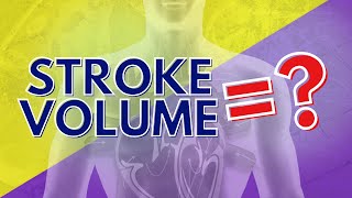 What Stroke Volume is and How to Calculate it [upl. by Edras]