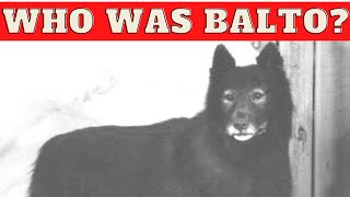 Who was BALTO the sled dog [upl. by Curhan]