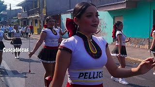 Pellicer marching band cachiporristas sv [upl. by Rawde393]