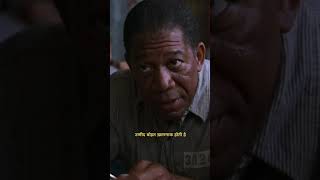 HOPE ❓️  THE SHAWSHANK REDEMPTION  HINDCLIP SCENE shorts [upl. by Silado]