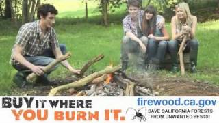 Firewood Buy It Where You Burn It [upl. by Deden]