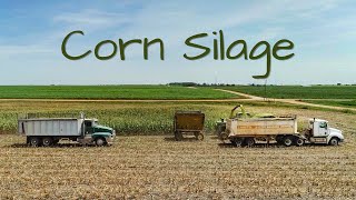 Chopping Silage 2022  KANSAS  JD 5830 Forage Harvester [upl. by Richardson944]