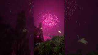 Firework show at woolston manor [upl. by Damalis]