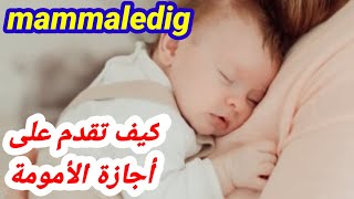 كيف تقدم على بدل الوالدين föräldrapenning [upl. by Koralle598]