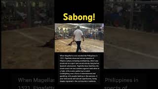 Sabong with history of it in the Philippines information history sabong [upl. by Primo720]