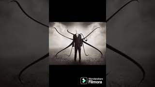 Entonces al final todo fue real slenderman terror [upl. by Airakaz796]