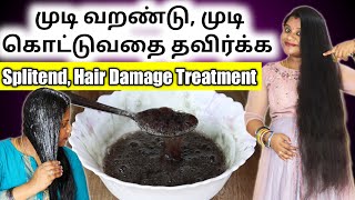 உங்க முடி வறண்டு போய் முடி ரொம்ப கொட்டுதா Splitend Hair Damage Treatment at home  Jegathees meena [upl. by Rodman166]