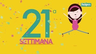 21° settimana di gravidanza [upl. by Valtin507]