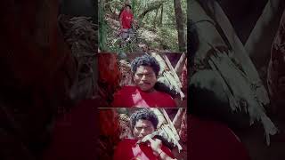 ഈ ഫോറെസ്റ് മുഴുവൻ കാടാണല്ലോ Yoddha Movie Mohanlal Jagathy Malayalam Comedy Scenes [upl. by Ellenohs567]