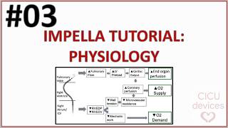 Impella device tutorial 003 Physics and physiology impella basics [upl. by Nyrok]