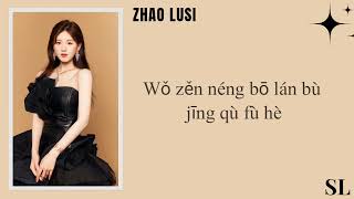 【𝐏𝐈𝐍𝐘𝐈𝐍】Zhao Lusi  Grain In Ear Lyrics【By Mang Zhong】Pinyin Cover [upl. by Alita]