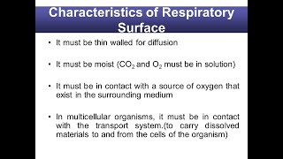 Respiration Types of respiration  characteristics of the respiratory surfaces Class 12 Biology [upl. by Idelia]