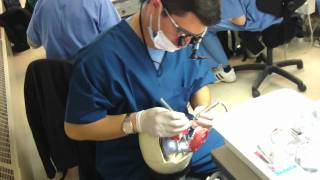 A Day in the Life of Rob Dental School Student [upl. by Enovahs]