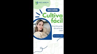 Cultiva fácil 🍄🙌 Aprende cómo fructificar hongos de una forma económica práctica y casera ✨ [upl. by Gore]